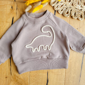 Bluza dziecięca z dinozaurem - kolory