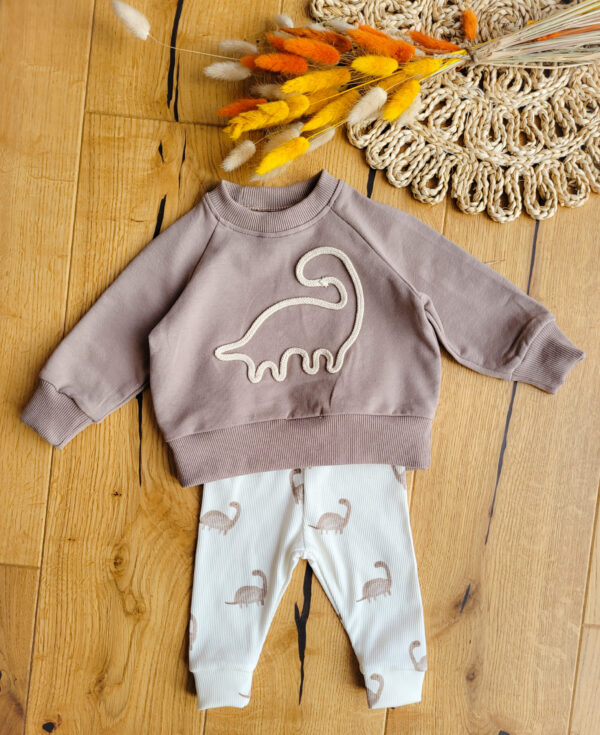 Komplet-bluza-i-legginsy-dzieciece-z-dinozaurami-scaled-1.jpg Komplet-bluza-i-legginsy-dzieciece-z-dinozaurami-scaled-1.jpg