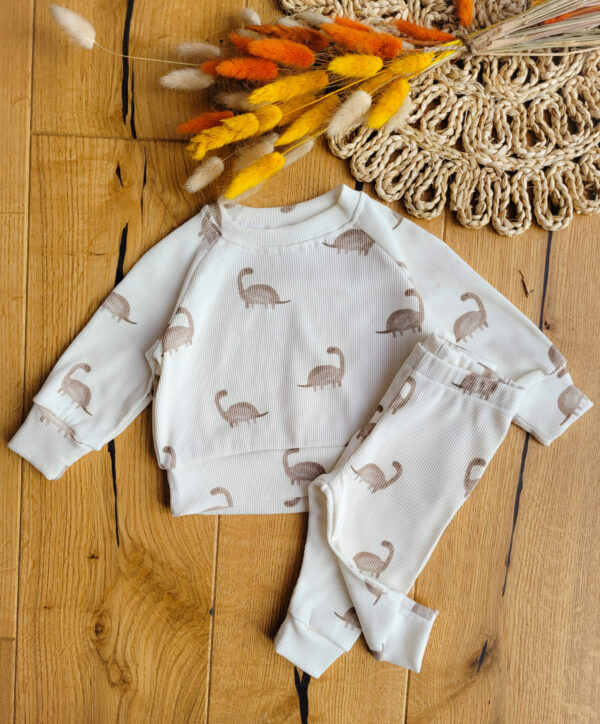 Komplet-dzieciecy-bluza-i-leggnsy-prazkowane-w-dinozaury-scaled-1.jpg Komplet-dzieciecy-bluza-i-leggnsy-prazkowane-w-dinozaury-scaled-1.jpg