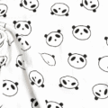 Pandy.png